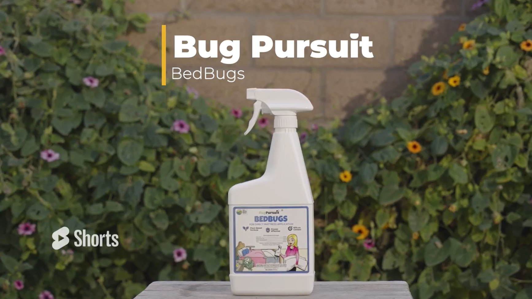 BugPursuit, Instant Natural Indoor Pest Control Spray, Carpet Beetle Killer, Fly Repellent, and Many More. USDA Biobased Certified, Plant Based